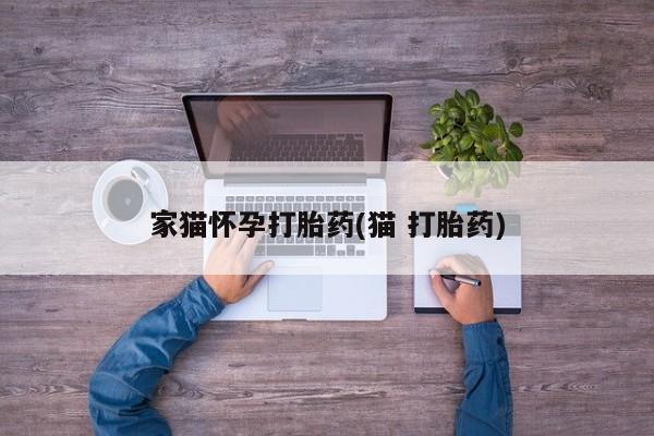 打胎药微信联系方式，家猫怀孕打胎药(猫 打胎药)
