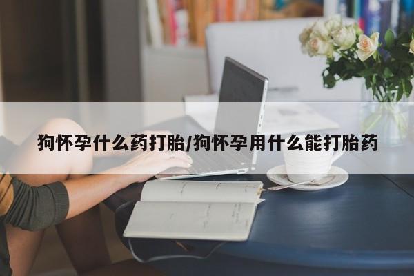 打胎药微信联系方式，狗怀孕什么药打胎/狗怀孕用什么能打胎药